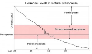 menopause hormone levels